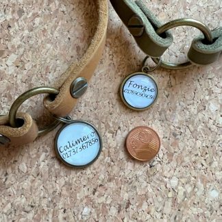 Iggy ID Hundemarke in 16 mm Größe.