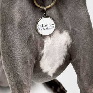 Hundemarke in Messing mit Glasabdeckung.