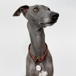 Markenband für Hund in bordeaux rot.