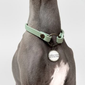 Markenband für Hund in mint.