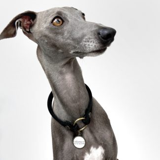 Markenband für Hund in schwarz.