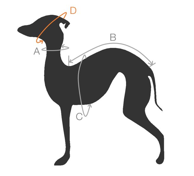 Messanleitung für Windund unditalienisches Windspiel