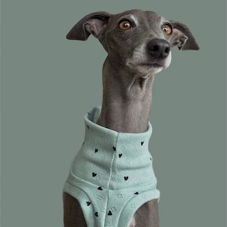 Shirt "crop top" Herzen türkis