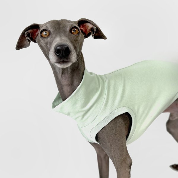 Shirt "crop top" mint – Bild 3