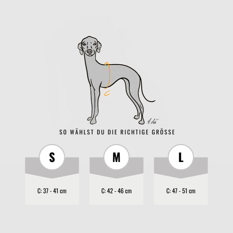 Größen für Crop Tops und Fair Crop Tops