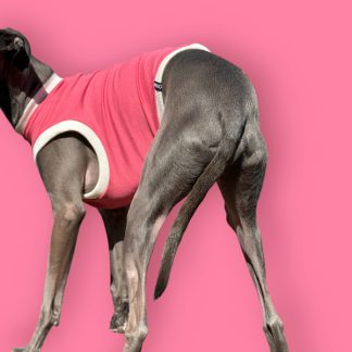 Shirt "breezy" coralle