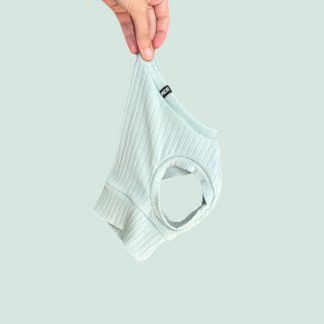 Crop Top Youngster für ein italienisches Windspiel.