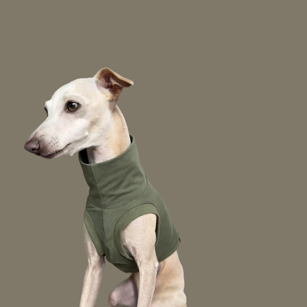 Crop Top in Oliv für ein italienisches Windspiel.