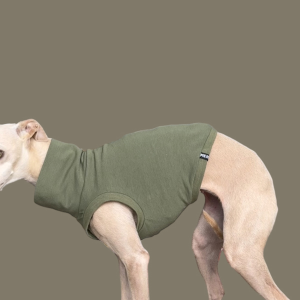 Crop Top in Oliv für ein italienisches Windspiel.