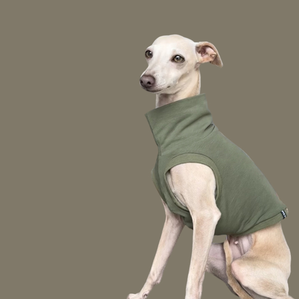 Crop Top in Oliv für ein italienisches Windspiel.