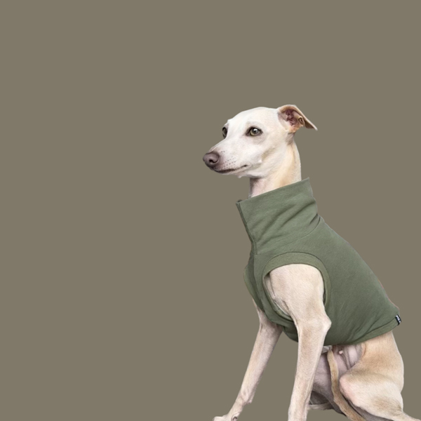 Crop Top in Oliv für ein italienisches Windspiel.