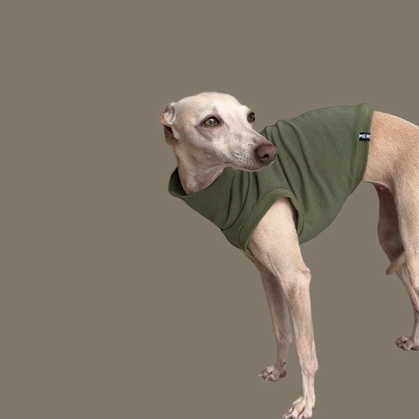 Crop Top in Oliv für ein italienisches Windspiel.