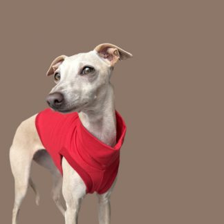 Crop Top in Rot für ein italienisches Windspiel.