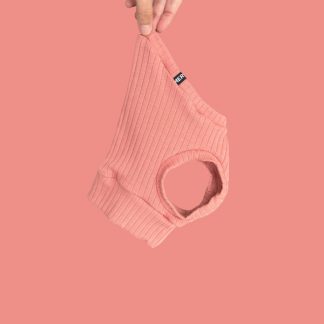 Crop Top Youngster für ein italienisches Windspiel.