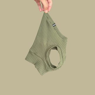 Crop Top Youngster für ein italienisches Windspiel.