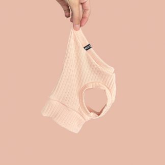 Crop Top Youngster für ein italienisches Windspiel.