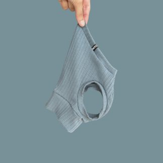 Crop Top Youngster für ein italienisches Windspiel.