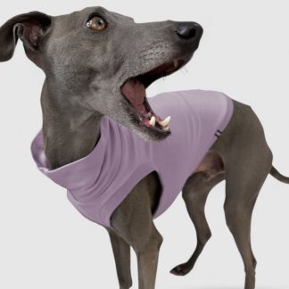 Crop Top in Flieder für ein italienisches Windspiel.