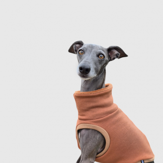 Shirt "crop top cozy" camel