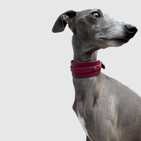 Halsband "classy" breit bordeaux – Bild 9