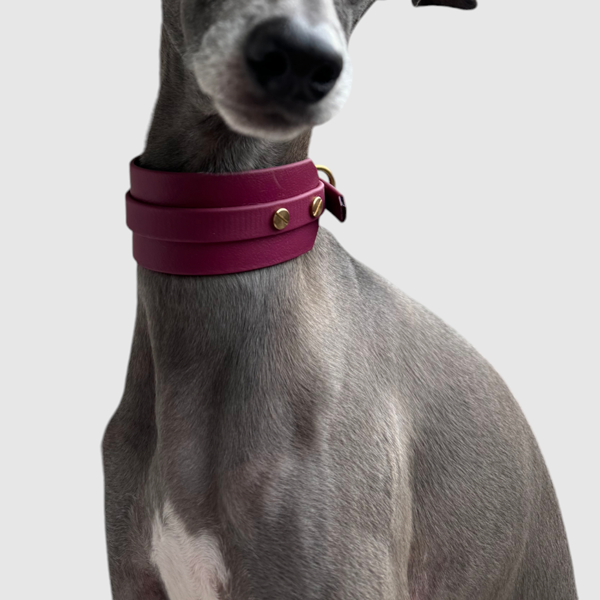 Halsband "classy" breit bordeaux – Bild 6