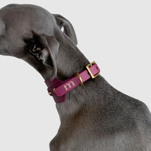 Halsband "classy" breit bordeaux – Bild 5