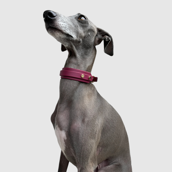 Halsband "classy" schmal bordeaux – Bild 5