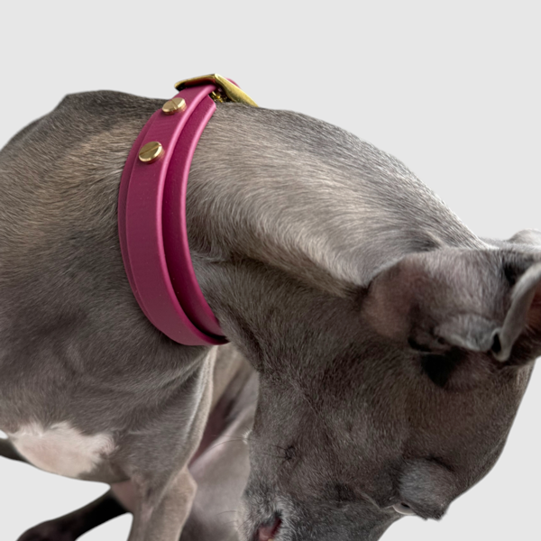 Halsband "classy" schmal bordeaux – Bild 7