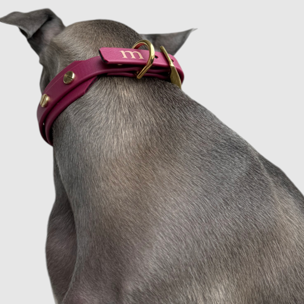 Halsband "classy" schmal bordeaux – Bild 6