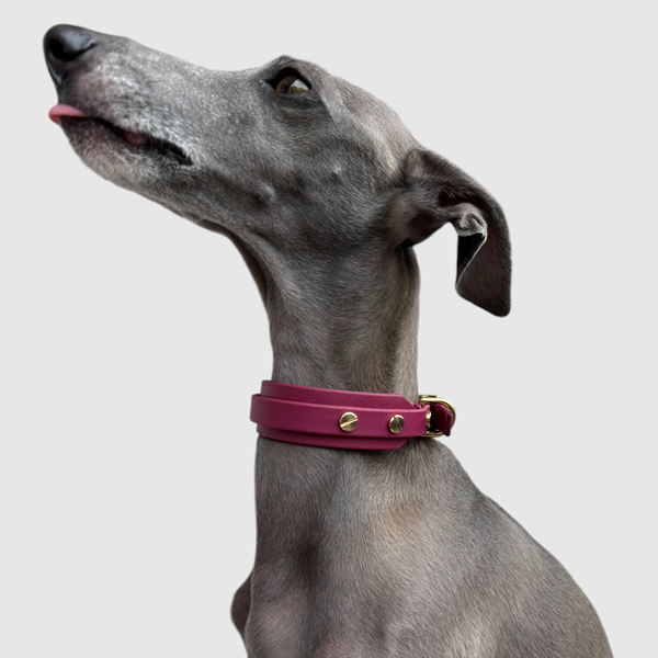 Halsband "classy" schmal bordeaux – Bild 9