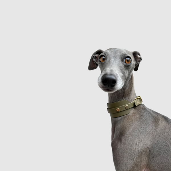 Halsband "classy" breit oliv – Bild 9