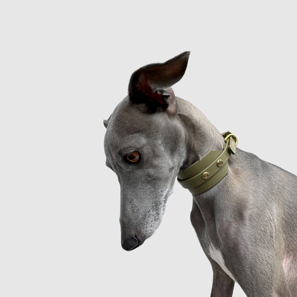 Halsband "classy" breit oliv – Bild 8