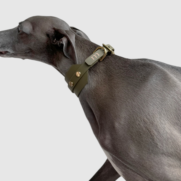 Halsband "classy" breit oliv – Bild 7