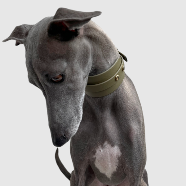 Halsband "classy" breit oliv – Bild 6