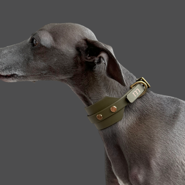 Halsband "classy" breit oliv – Bild 5