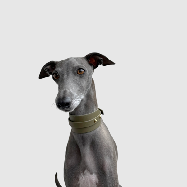 Halsband "classy" breit oliv – Bild 10