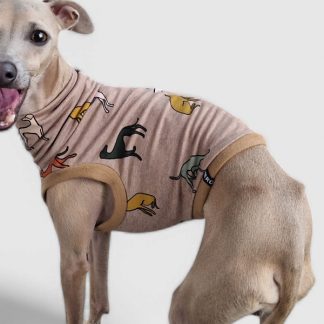 Crop Top in Beige für ein italienisches Windspiel.