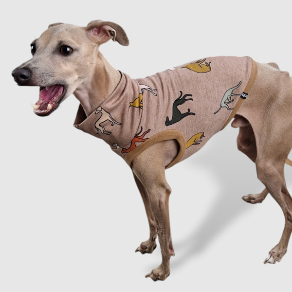 Crop Top in Beige für ein italienisches Windspiel.