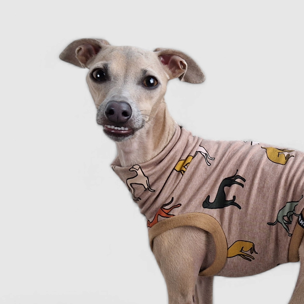 Crop Top in Beige für ein italienisches Windspiel.