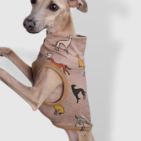 Crop Top in Beige für ein italienisches Windspiel.