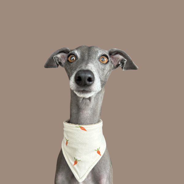 Halstuch "covered neck" Osteredition Möhren creme – Bild 3