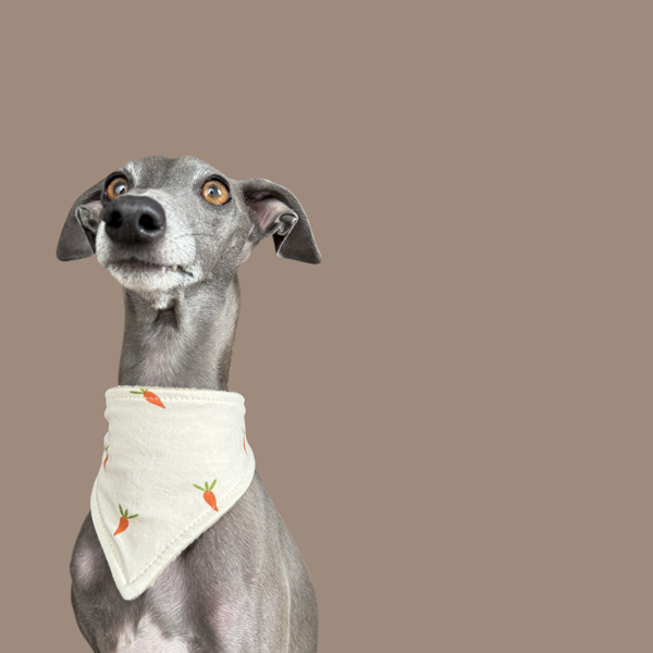 Halstuch "covered neck" Osteredition Möhren creme – Bild 2