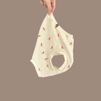 Shirt "breezy" Osteredition Möhren creme