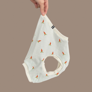 Shirt "breezy" Osteredition Möhren hellblau