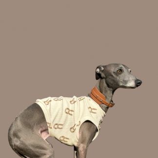 Shirt "breezy" Osteredition Hase