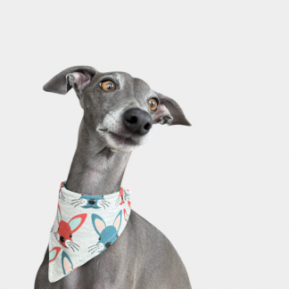 Halstuch "covered neck" Osteredition Hase