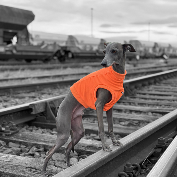 Weste "easy" neon-orange – Bild 2