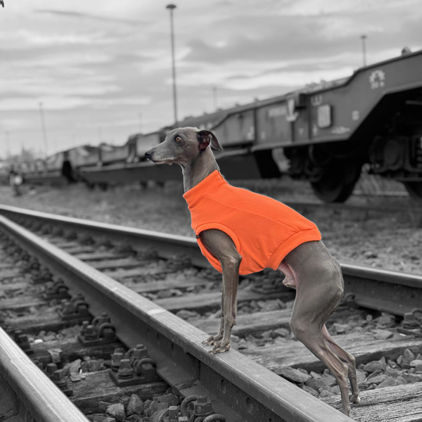 Weste "easy" neon-orange – Bild 4