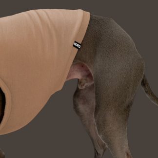 Italienisches Windspiel Shirt beige