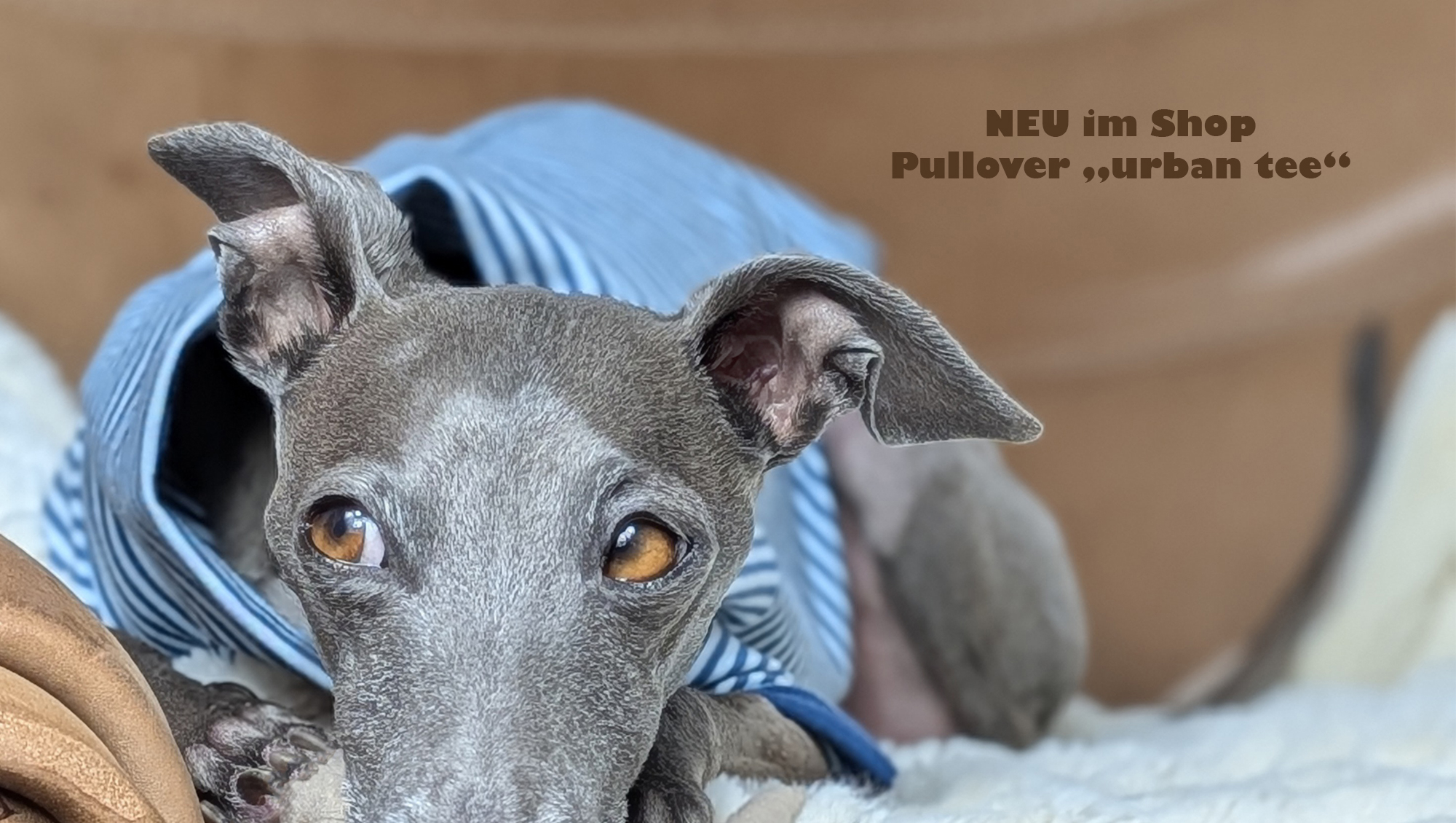 Bild für Startseite mit Windspiel welches den Pullover Urban Tee trägt.